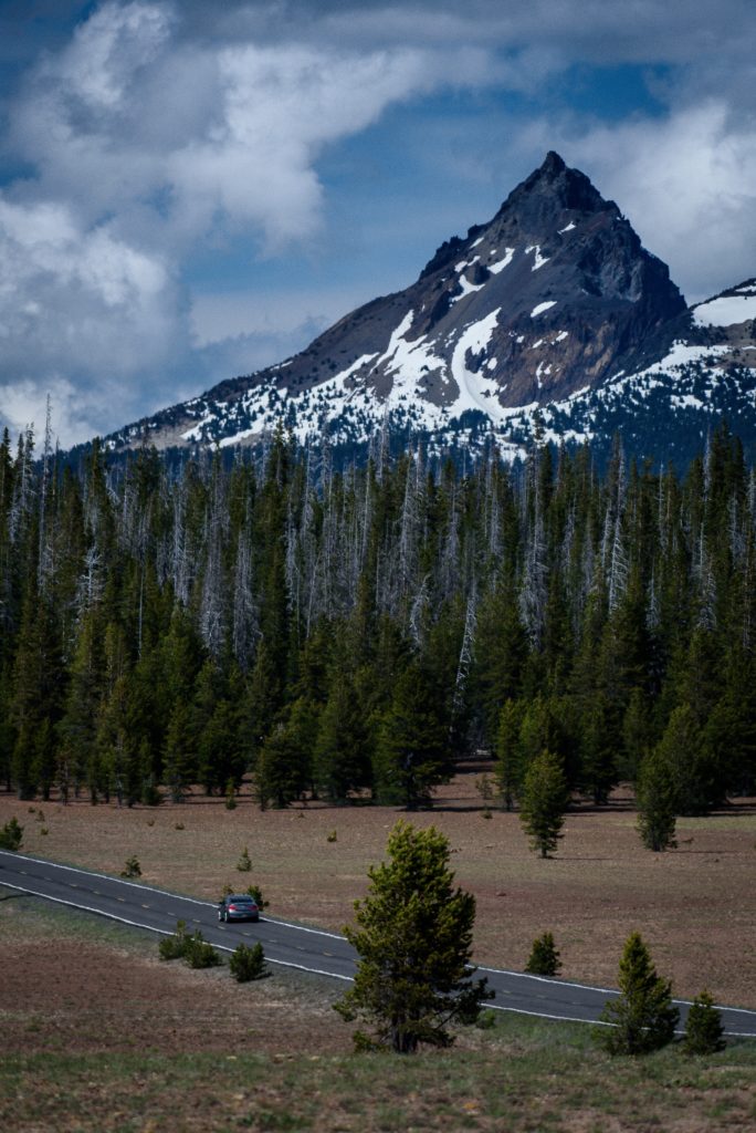 phlebotomy in colorado
