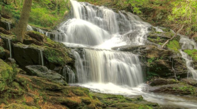 phlebotomy certification in New Hampshire