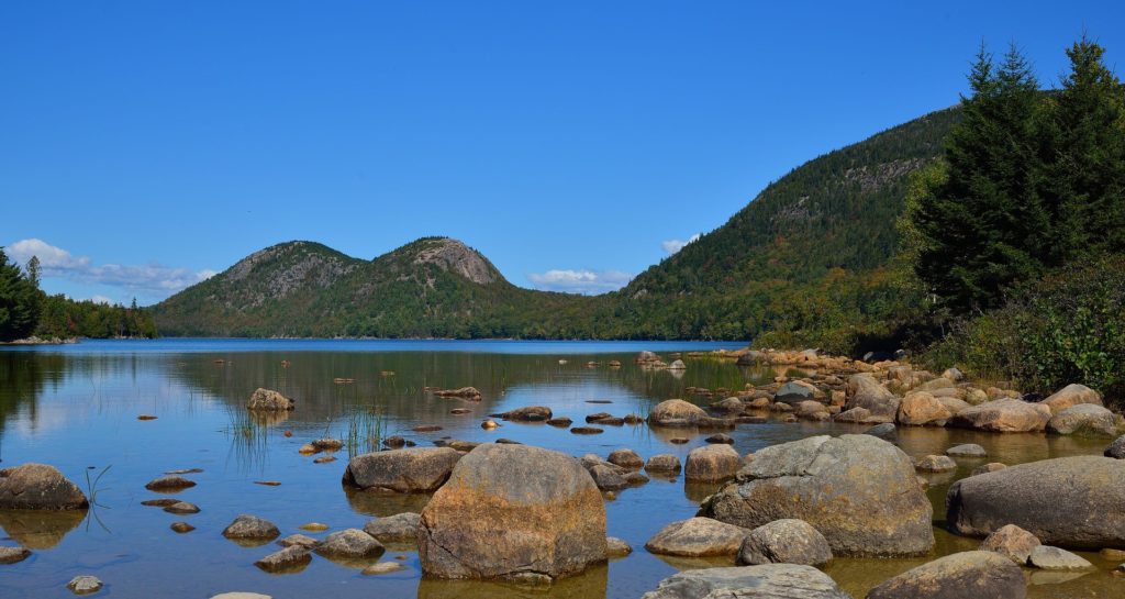 phlebotomy in maine