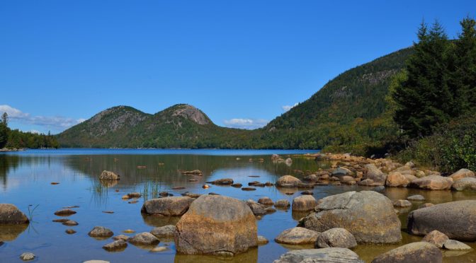 phlebotomy in maine