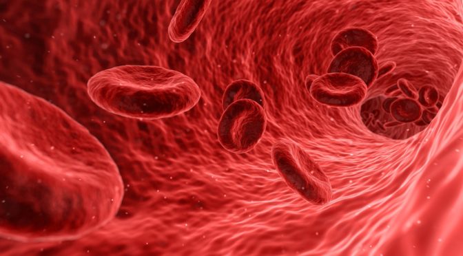 Is blood different in the summer than during the winter time?